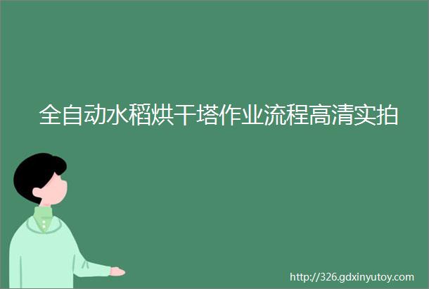 全自动水稻烘干塔作业流程高清实拍