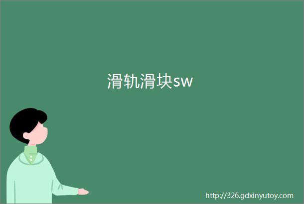 滑轨滑块sw