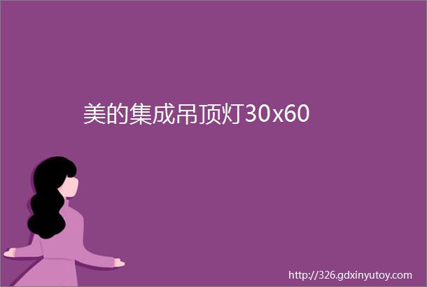 美的集成吊顶灯30x60