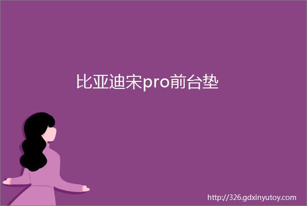 比亚迪宋pro前台垫