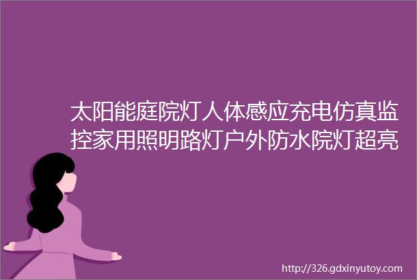 太阳能庭院灯人体感应充电仿真监控家用照明路灯户外防水院灯超亮