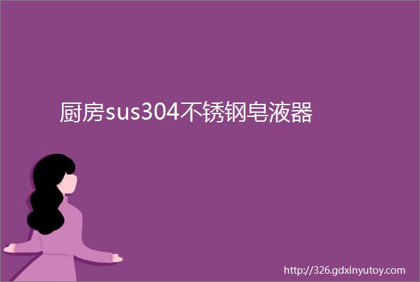 厨房sus304不锈钢皂液器