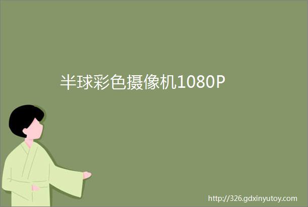 半球彩色摄像机1080P