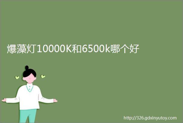 爆藻灯10000K和6500k哪个好