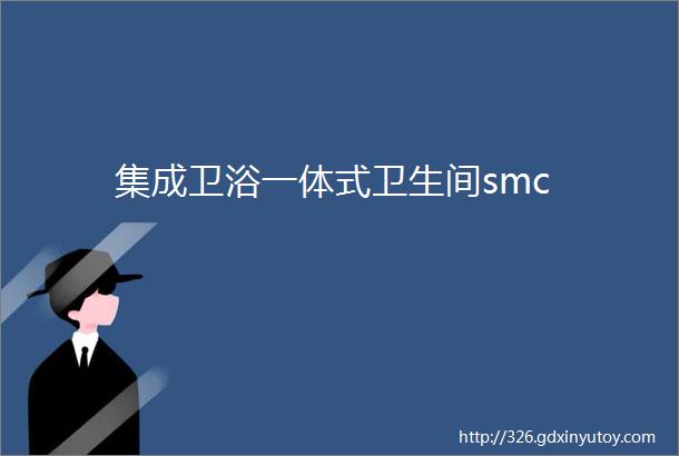 集成卫浴一体式卫生间smc