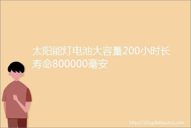 太阳能灯电池大容量200小时长寿命800000毫安