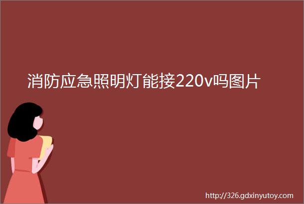 消防应急照明灯能接220v吗图片